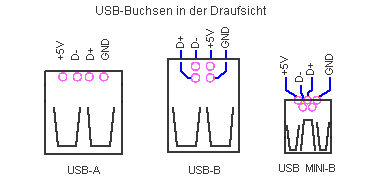 USB Pinout